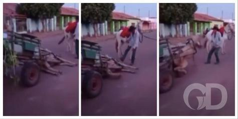 Cavalo é chutado após cair exausto com sobrepeso; veja vídeo - Vimarsana News