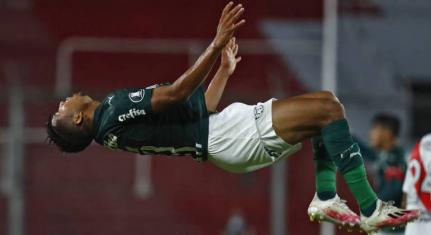 Foto: Cesar Greco/Palmeiras