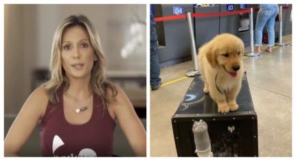 Foto: Reprodução/Instagram