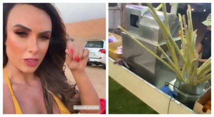 Foto: Reprodução/Instagram