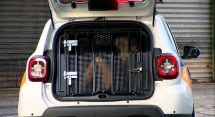 Foto: Reprodução/Record TV Minas