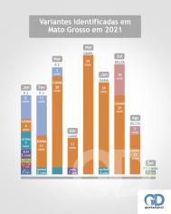Infográfico variante
