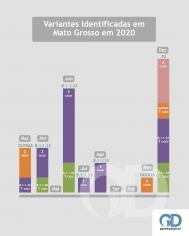 Infográfico variante