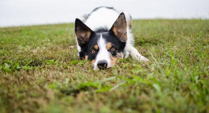 Divulgação - Texto Comunicação Corporativa 