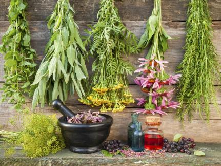 Reprodução internet