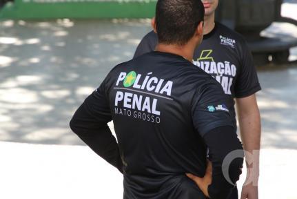 João Vieira