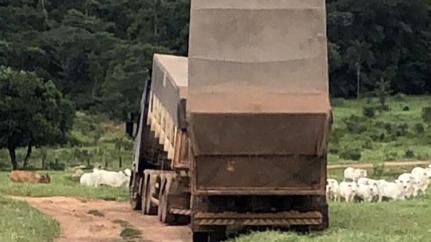 Só Notícias