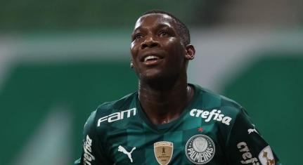 Cesar Greco/Palmeiras