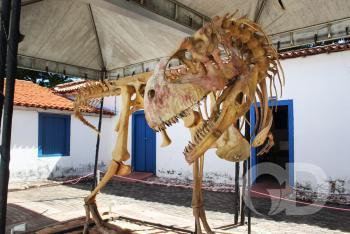 Museu de Hist&oacute;ria Natural