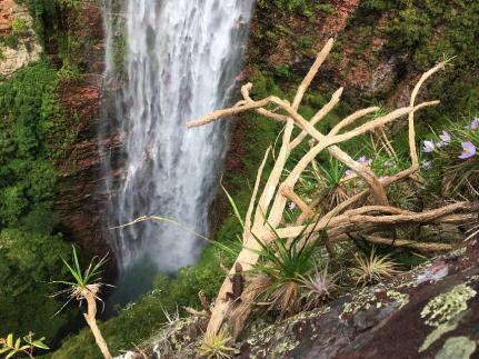 Juliana Carvalho/Casa Civil-MT