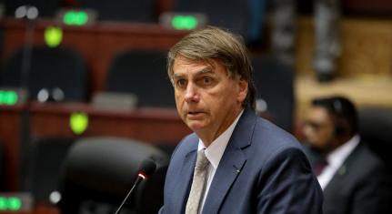 José Dias/PR