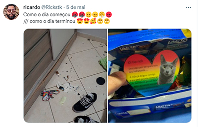Tweet gato