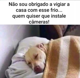 Frio 2022 Memes