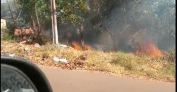 Fogo em matagal do Vila Arthur