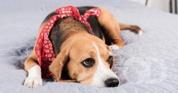 S&iacute;ndrome de Cushing