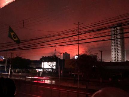Reprodução