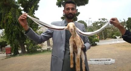 Reprodução/Youtube