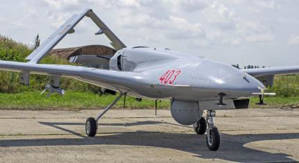 Reprodução/Twitter @LITHUANIA