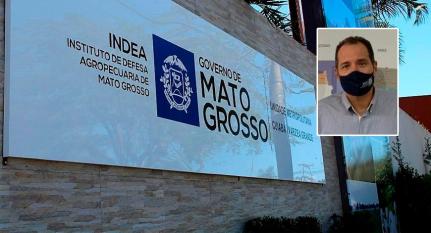 Montagem / Indea-MT