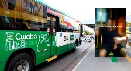 Luiz Alves/@perrenguematogrosso