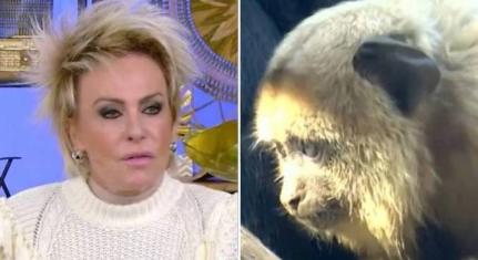 Reprodução/Twitter