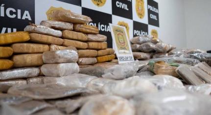 Divulgação/PCDF
