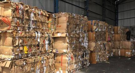 Arquivo Pessoal/Grupo Maeda Recicla