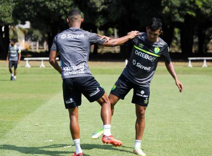 AssCom Dourado