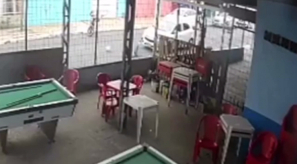 Reprodução