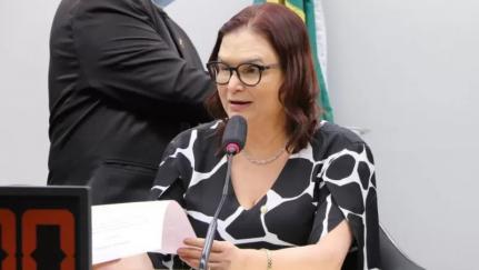 Wesley Amaral/Câmara dos Deputados