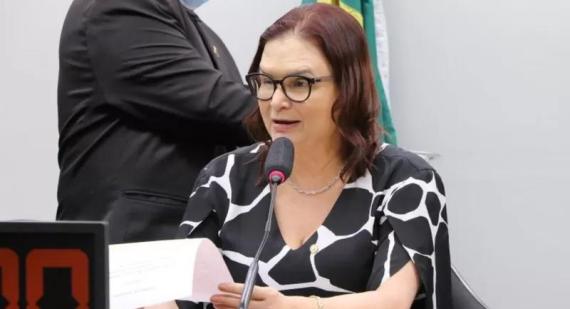 Wesley Amaral/Câmara dos Deputados