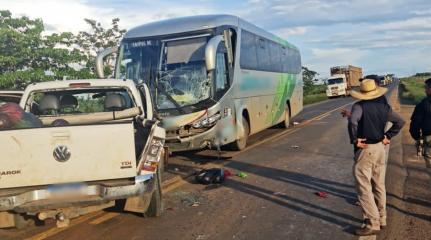 Reprodução / Você Repórter