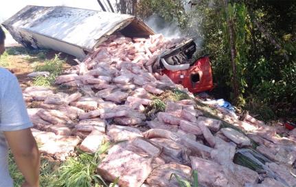 Reprodução / Só Noticias 