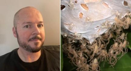 Reprodução/Pen News Via Metro UK