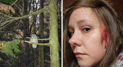 Reprodução/Reddit/Kirsten Mathisen