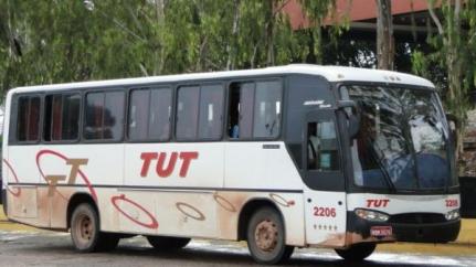 Divulgação