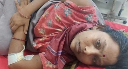Reprodução/Hindustan news