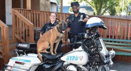 Divulgação/Fundação Polícia da Cidade de Nova York