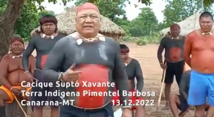 Reprodução