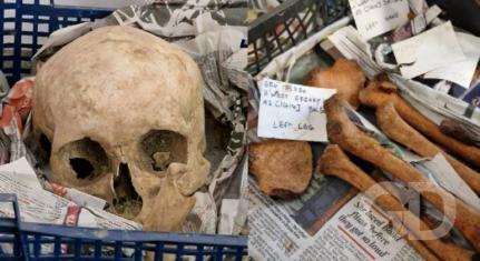 Reprodução/Laura Clements/ViaDailyStar 