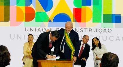 Divulgação