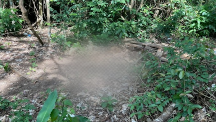 Kariny Santos/Nativa News