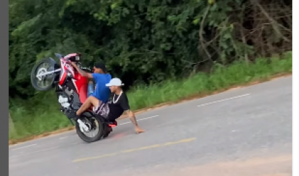 Reprodução