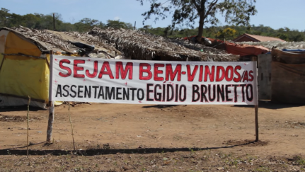 Reprodução