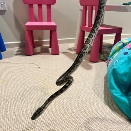 Reprodução/Facebook