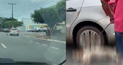 Reprodução