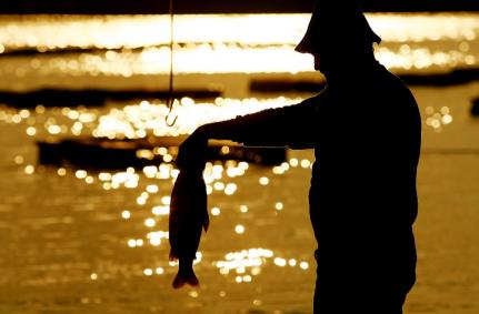 Ministério da Pesca e Aquicultura