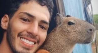 capivara filo