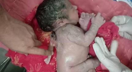 Reprodução/Facebook