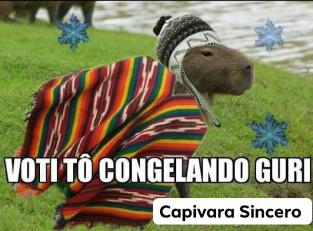 Capivara com frio 